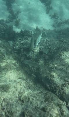 tabi_20260808-82c82748ea15909e86ec69336788a8c4e854c2d9.jpeg
