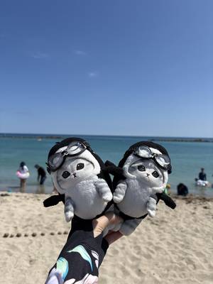 tabi_20260808-962de6483d368ee783341d80fd90934ef36142d1.jpeg
