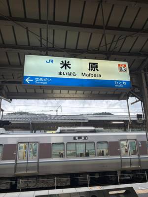 tabi_20260919-e6130f025783bc1c154e415218258f1e8a5ad0e5.jpeg