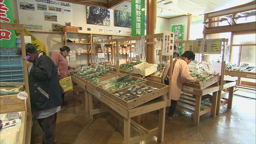 道の駅「ウッディ京北」