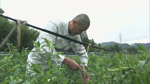 専業農家の正田さん