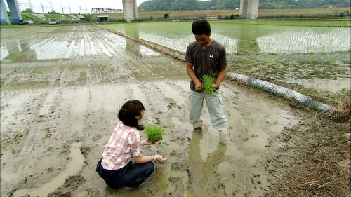 田んぼの世話をする今川さん