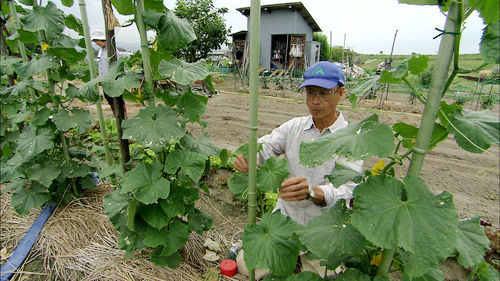 福田さんのご主人