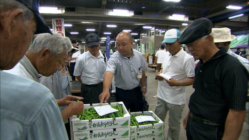 生産農家の視察