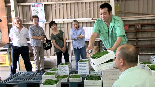 産地に出かけてアドバイス