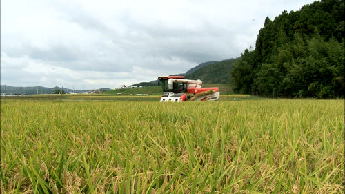 担い手のいない田んぼを受託管理