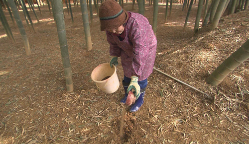 栗山さんの奥さん