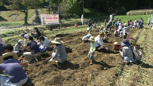 食と農業の学びの場