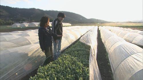 花木の生産