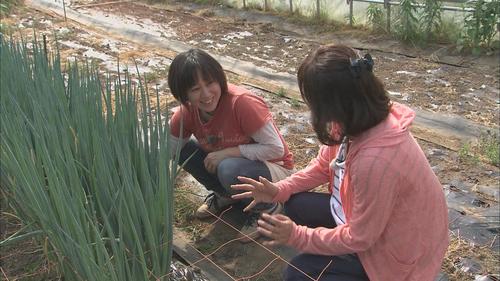 農業にチャレンジする木村有紀子さん