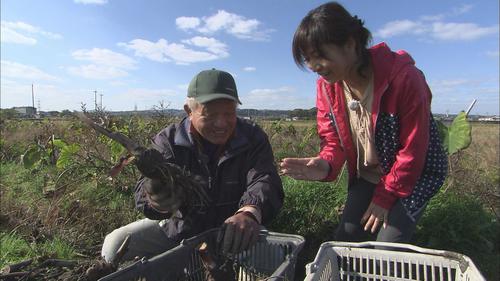 大ベテランの藤田さん