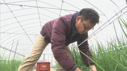 井上さん