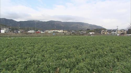 産地・長岡京市