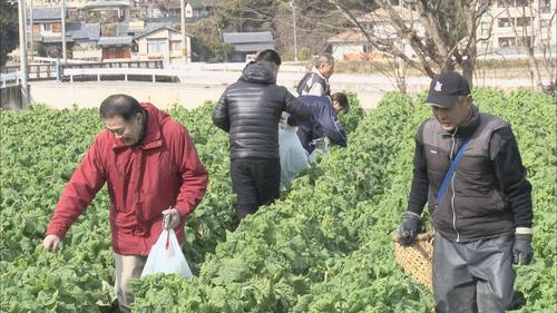 産地交流会