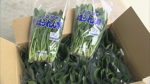 ほうれん草