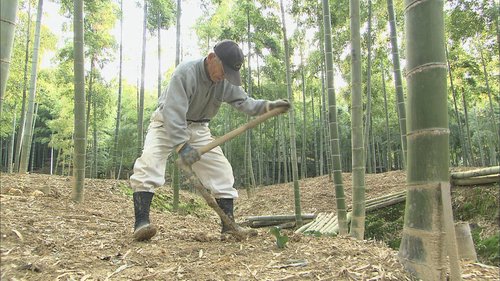 柴田さん