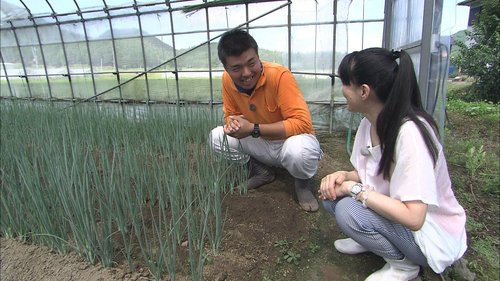 水の管理と土づくり