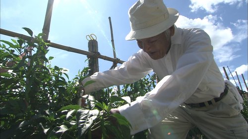 大ベテランの谷口さん