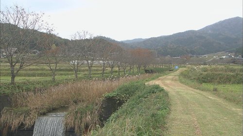 与謝野町温江地区