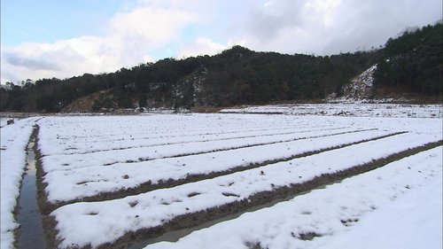 圃場