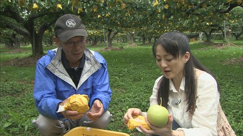 能勢さん