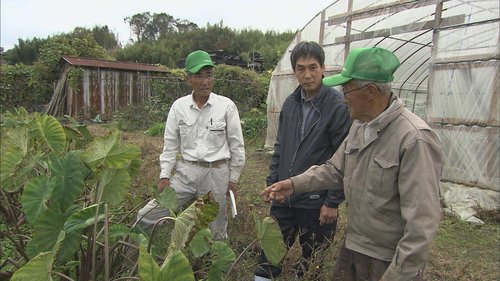 えびいも塾