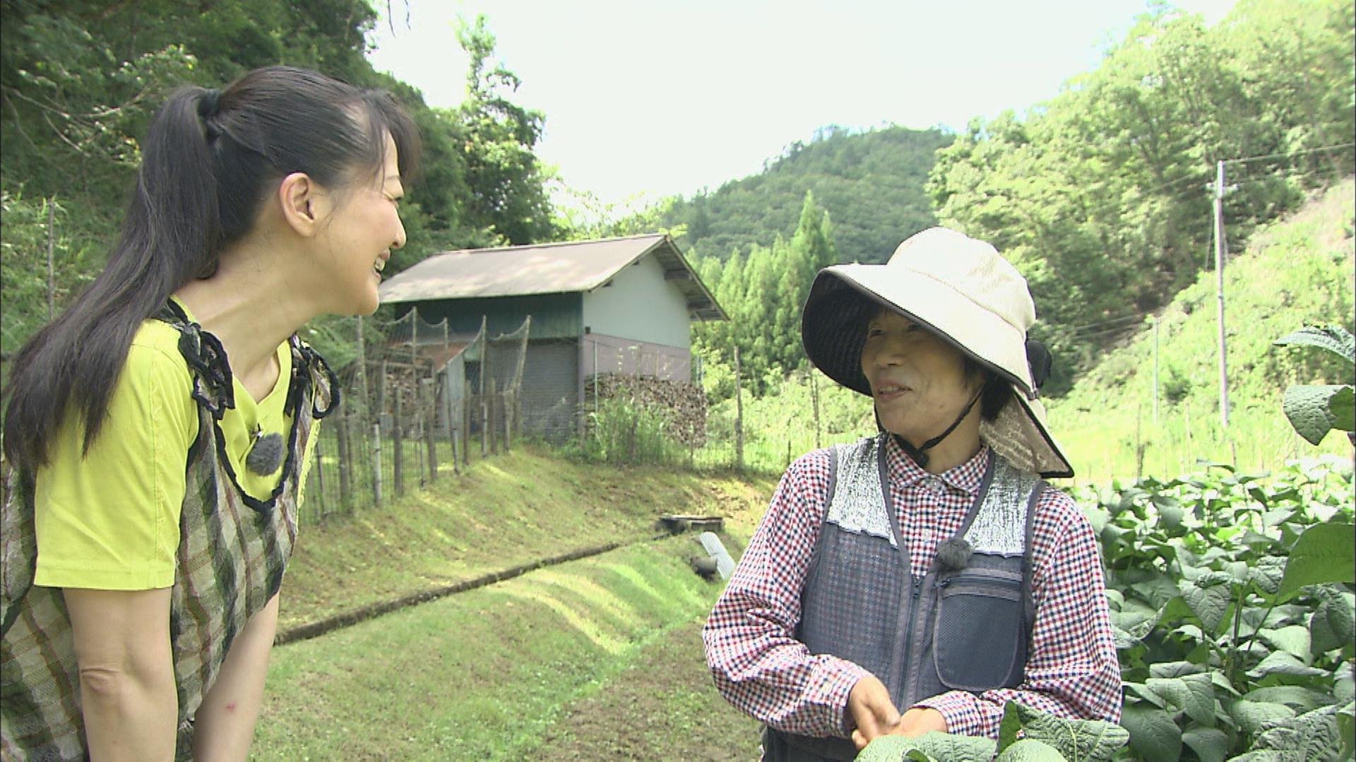 上田さんの奥さん