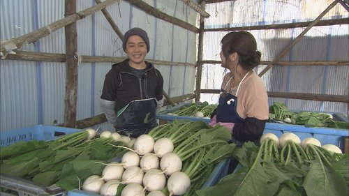 京こかぶ