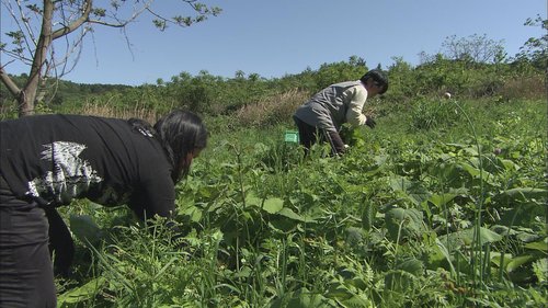 須川さん