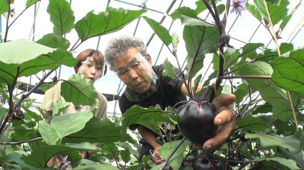 多賀野和宏さん