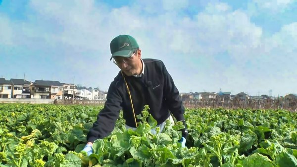 花菜生産者・森田さん"