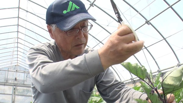山﨑伸生さん