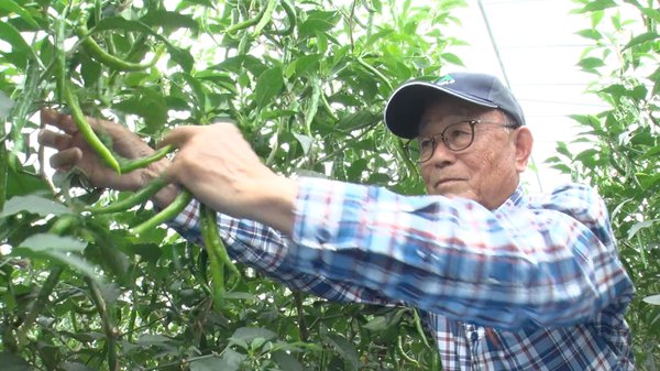 今西和男さん