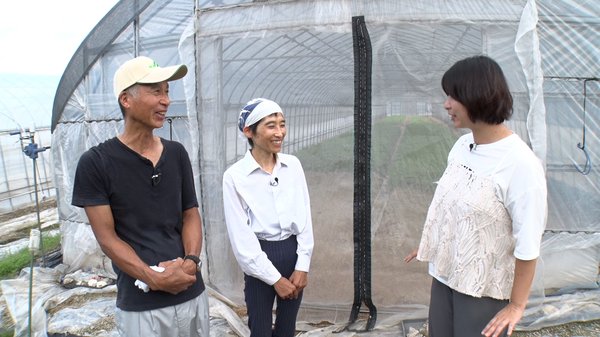 菜生産者の平井さん