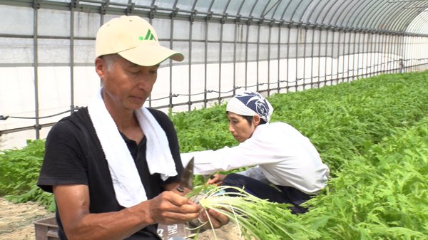 平井さん夫婦