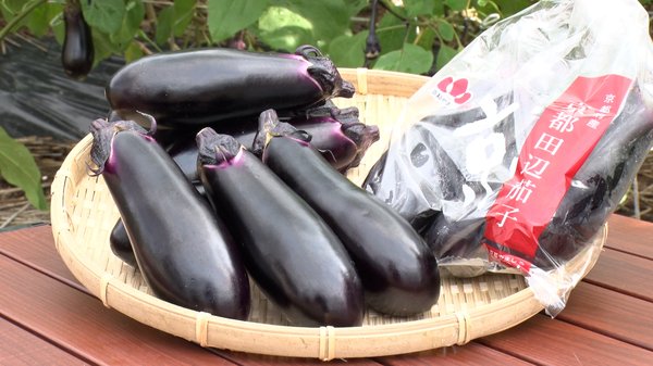 京田辺市の特産品