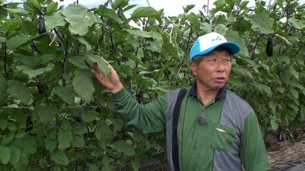 澤田康夫さん