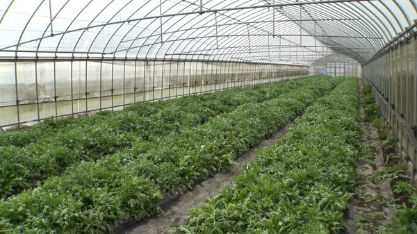 持続可能な循環型農業