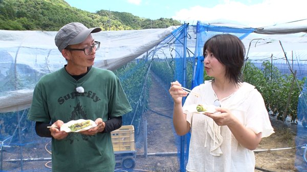 万願寺甘とうを実食