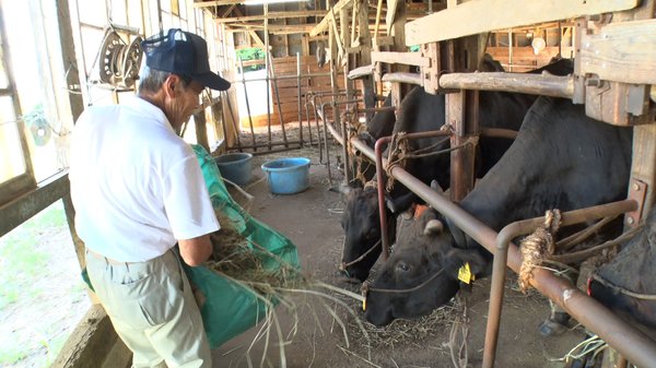 熟練のワザをもつ生産者