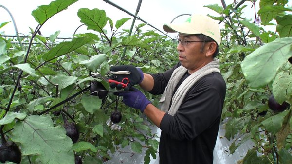田中信幸さん