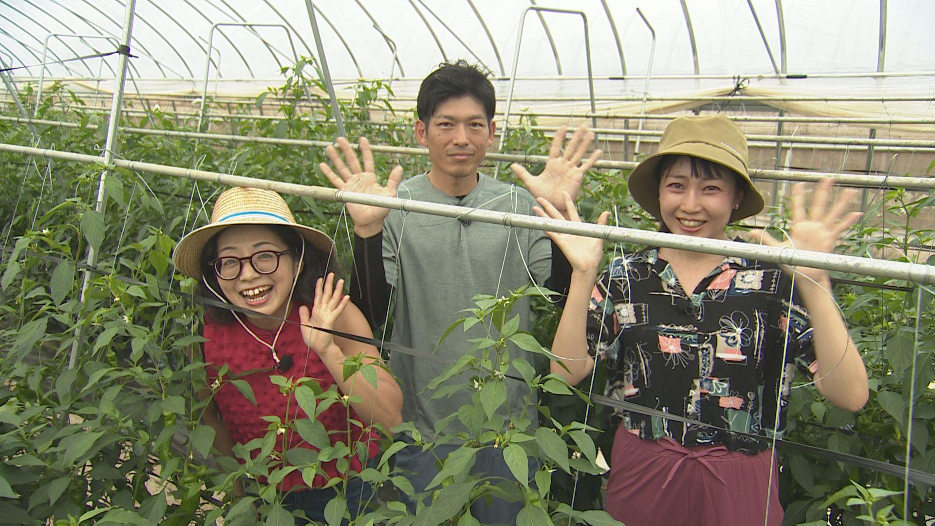 新規就農を応援！京都府の就農支援