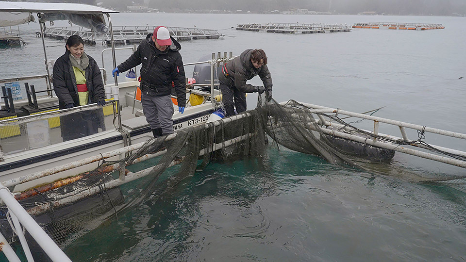 「冬の京都2026 ~財前直見が行く食と歴史の都~」番組風景