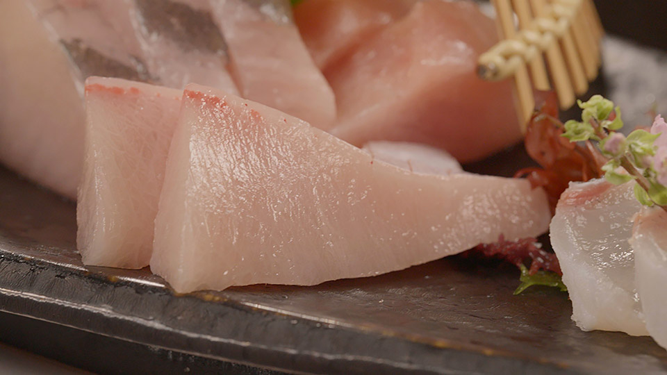 「冬の京都2026 ~財前直見が行く食と歴史の都~」番組風景