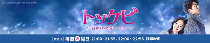 トッケビ〜君がくれた愛しい日々〜