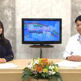 歯っぴーライフ Gallery