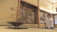 野の花でつむぐいのち(1)