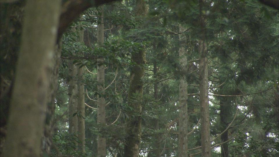 里山の多様性をつなぐ