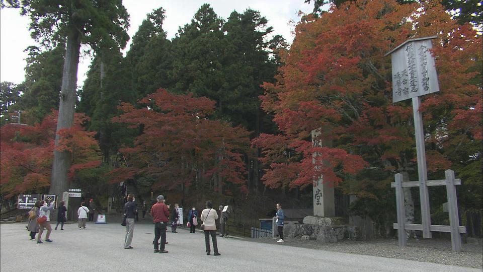 この一年を振り返る