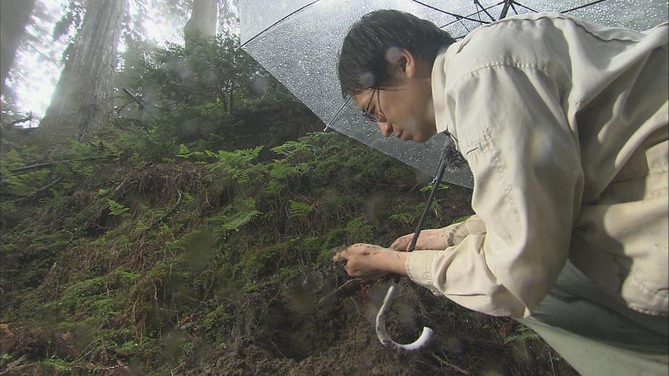 土は地球の特産物